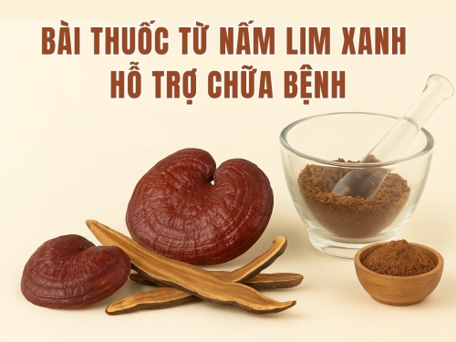 Bật mí một số bài thuốc từ nấm Lim Xanh hỗ trợ chữa bệnh hiệu quả